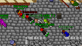 Gaja Druid on screen