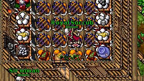Royal Succub on screen