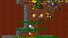 Minavo Sacasuko on screen