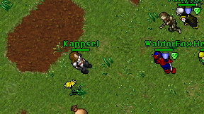 Kappsel on screen