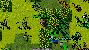 Royal Dejih on screen