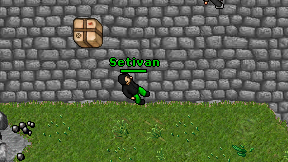 Setivan on screen