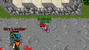 Rainok on screen