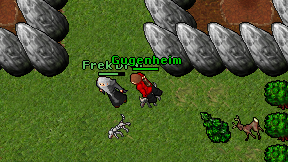 Gugenheim on screen
