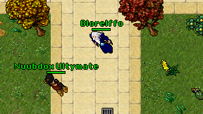 Blorelffo on screen