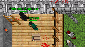 Ryzox on screen