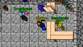 Ptako on screen
