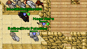 Mage'Hero on screen