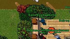 Kano Krydambera on screen