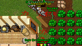 Neo Del'Sal on screen
