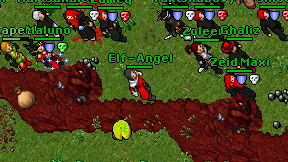 Elf-Angel on screen