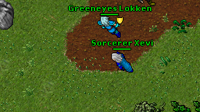 Sorcerer Xevi on screen