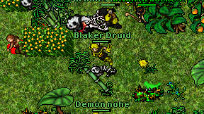 Blaker Druid on screen