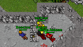 Nettar on screen