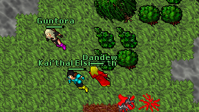Dandew on screen
