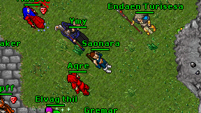 Saonara on screen