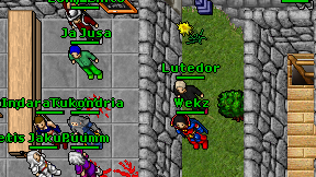 Lutedor on screen