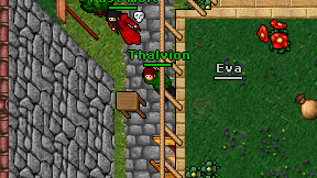 Thalvion on screen
