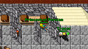 Princess of Persian on screen