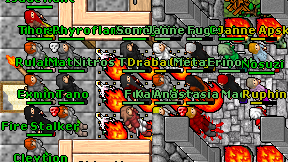 Metacsa on screen