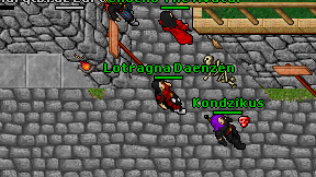 Lotragna Daenzen on screen