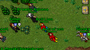 Bell Lion on screen