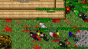Conamy on screen