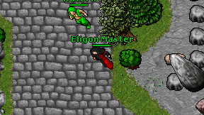 Eligon Master on screen