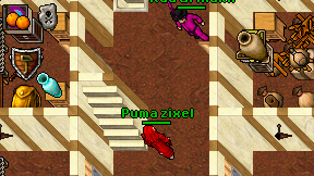 Puma zixel on screen