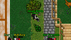 Ikan Alith on screen