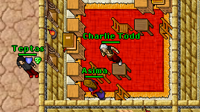 Charlie Todd on screen