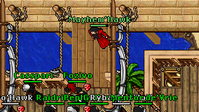 Mayhem'Hawk on screen