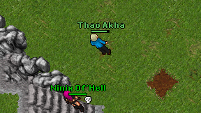 Thao Akha on screen