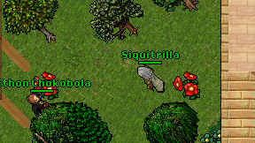 Siquitrilla on screen