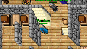 Pantas on screen