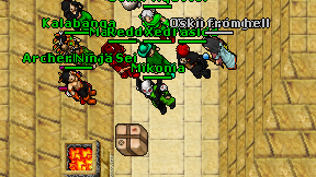 Mikonia on screen