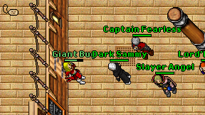 Giant Bug on screen