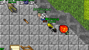 Wizuxa on screen