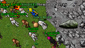 Niko Ardy on screen