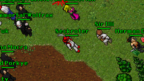 Seckroter on screen