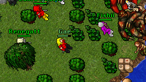 Gae on screen