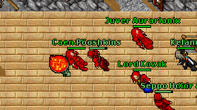 Pooshkins on screen