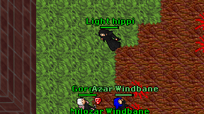 Light hippi on screen