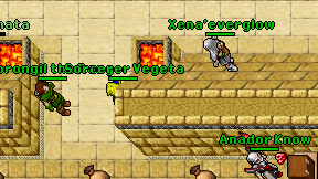 Sorcerer Vegeta on screen