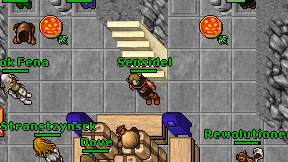 Sensidel on screen