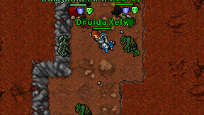 Druida Xely on screen