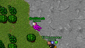 Quillnah on screen