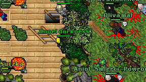 Angel darkness on screen