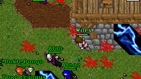 Wiles on screen