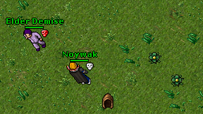 Noywak on screen